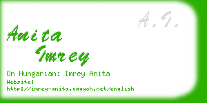 anita imrey business card